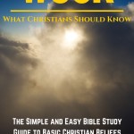 Rise: What Christians Should Know (#WCSK) Volume I by Dr. C.H.E. Sadaphal